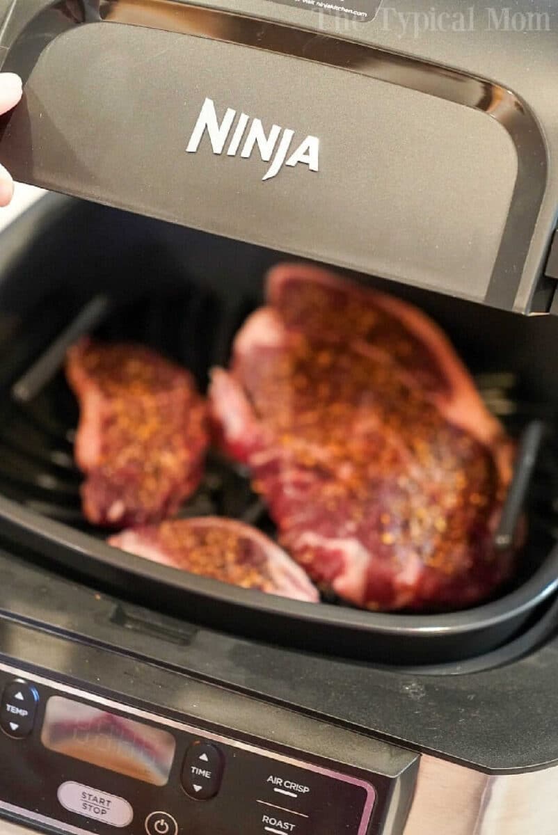 Ninja Foodi Grill Review Ninja Foodi Steak and Potatoes