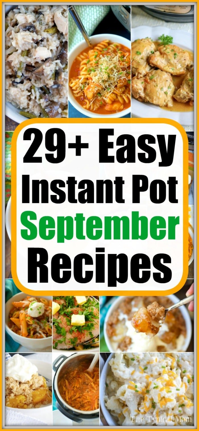 29 best sale instapot recipes