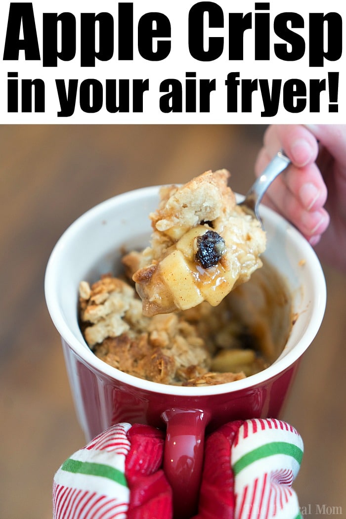 40 Easy Ninja Air Fryer Recipes