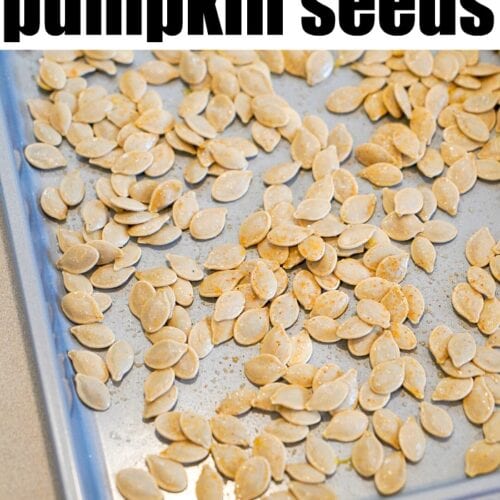 Easy Roasted Homemade Pumpkin Seeds · The Typical Mom