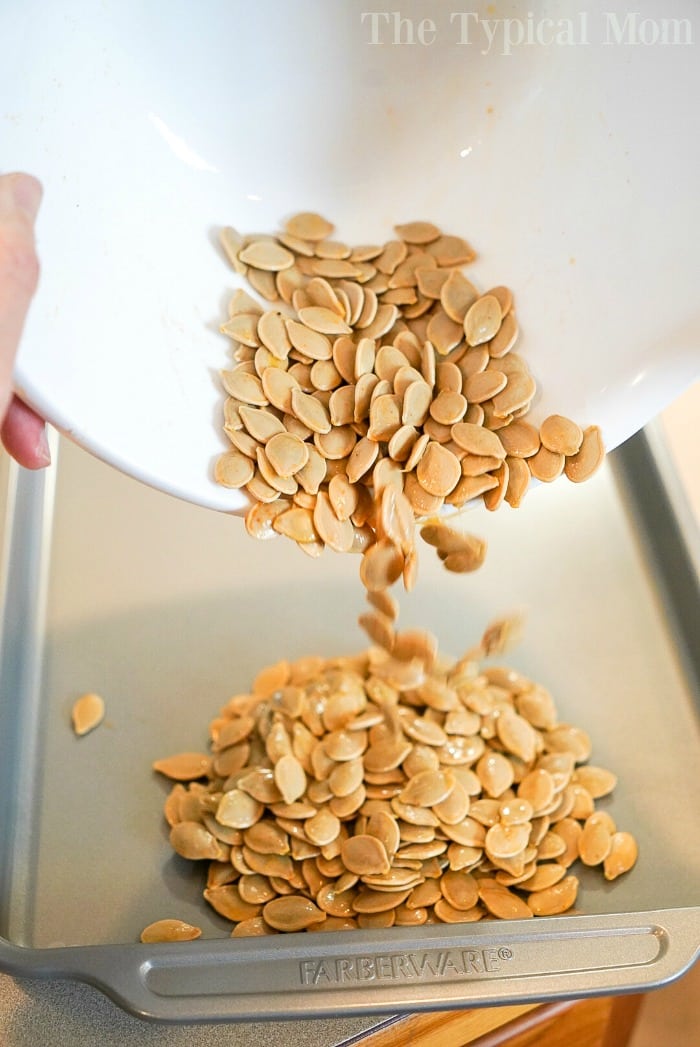 toasted pumpkin seeds