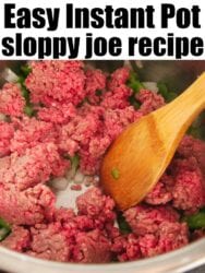 tomato paste substitute for sloppy joes tomato paste substitute for sloppy joes