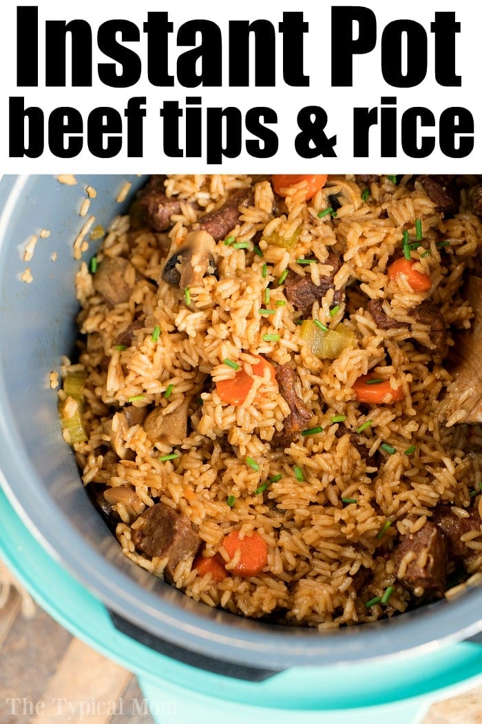 instant pot beef and rice