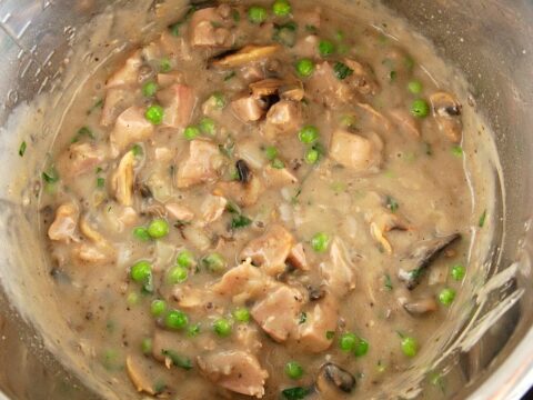 Homemade Ninja Foodi Cream of Mushroom Soup Recipe