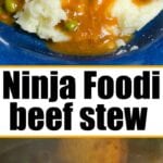 ninja foodi stew 2