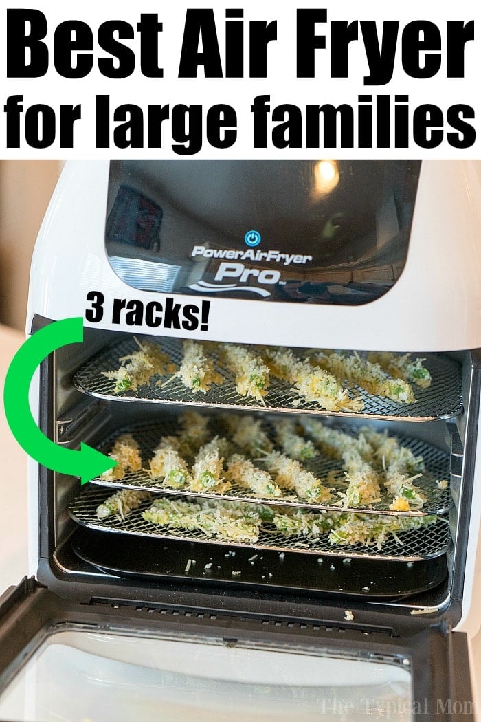 The Best Large Air Fryers for Families