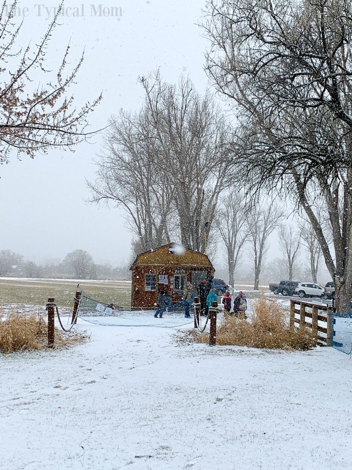 eagle island state park sledding