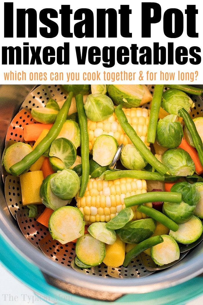 instant pot vegetable steamer basket