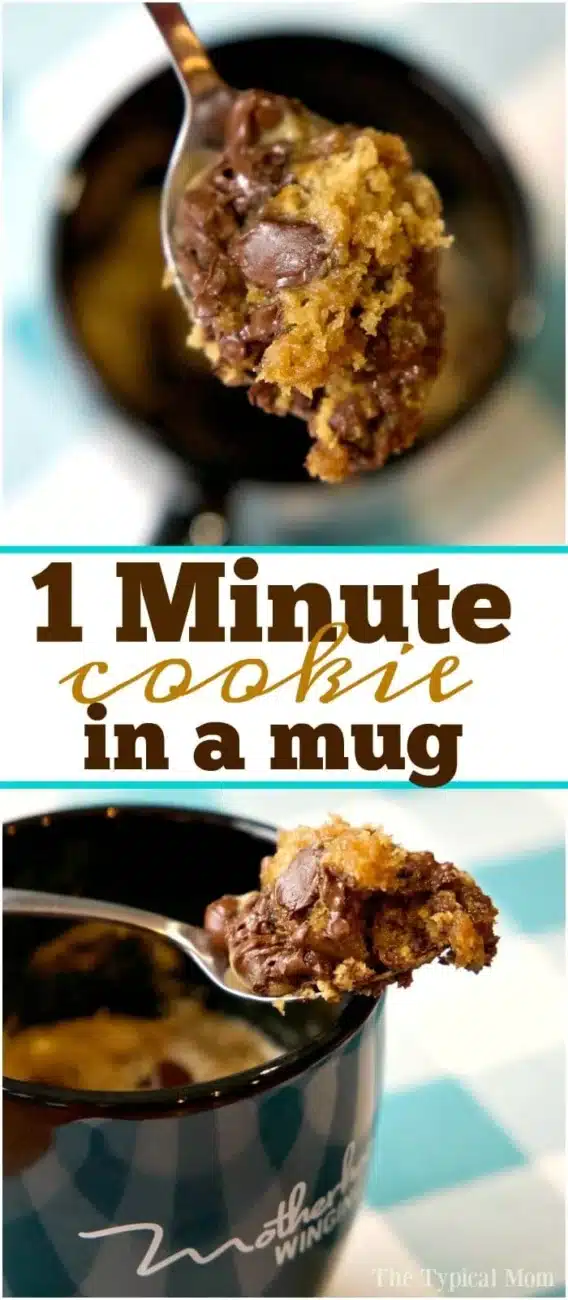 1-Minute Chocolate Chip Cookie In a Mug – The Comfort of Cooking