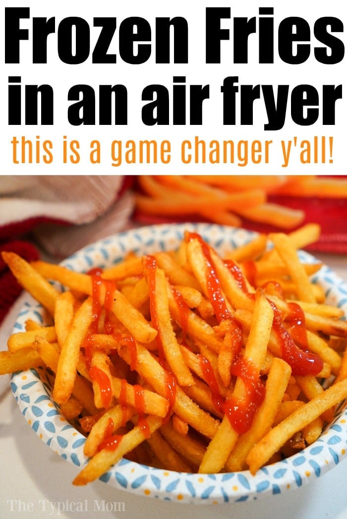 ninja foodie air fryer french fries