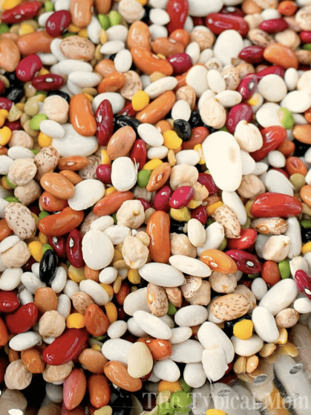 Instant Pot Dried Beans · The Typical Mom