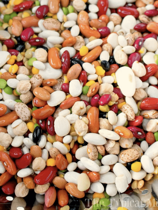 Red Lentils Instant Pot Recipe · The Typical Mom