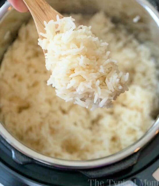 101+ Instant Pot Recipes for Beginners InstaPot Recipes