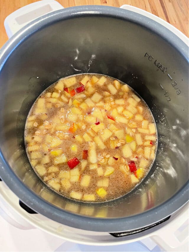 Easy Instant Pot Oatmeal with Apples Ninja Foodi Oatmeal