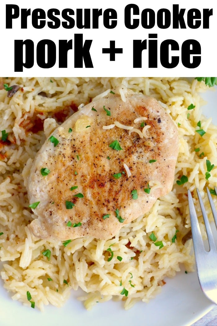 Instant pot recipes best sale pork chops and rice