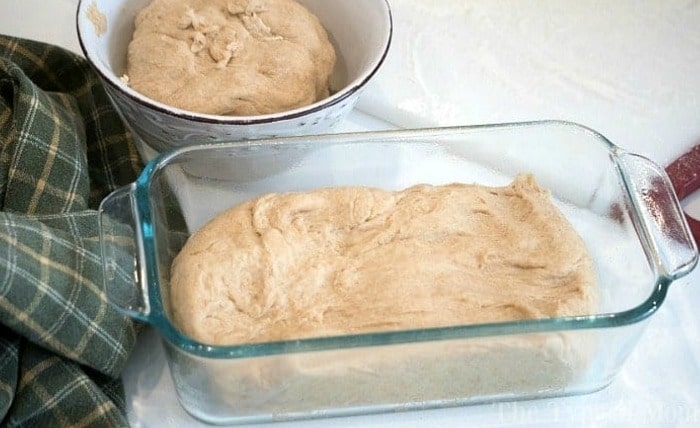 honey wheat bread