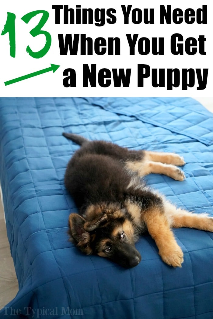 Free Printable New Puppy Checklist The Typical Mom