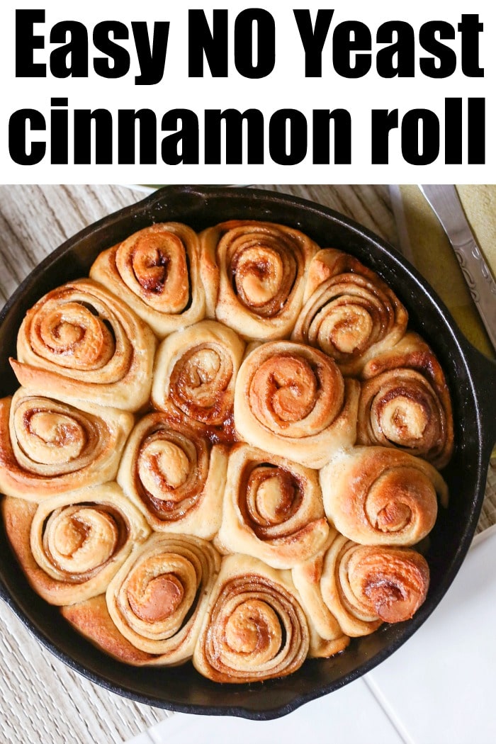 Sourdough Discard Cinnamon Roll Recipe No Yeast The Typical Mom