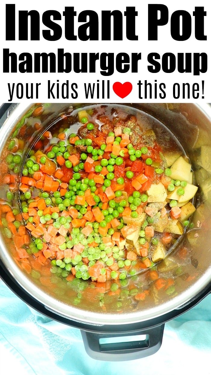 https://temeculablogs.com/wp-content/uploads/2020/04/instant-pot-soup.jpg