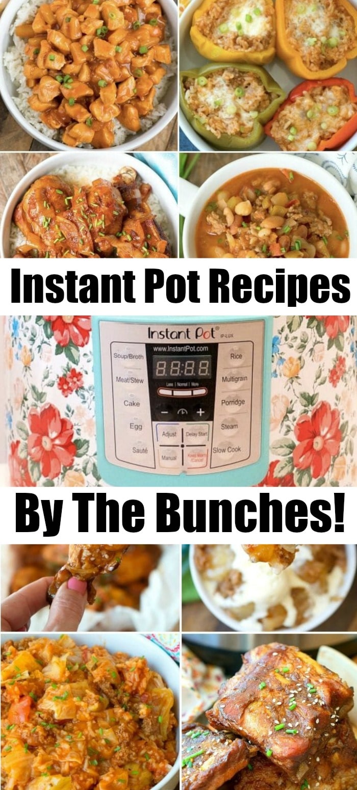 50 Easy Instant Pot Recipes (Beginner Friendly)