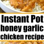 instant pot honey garlic chicken