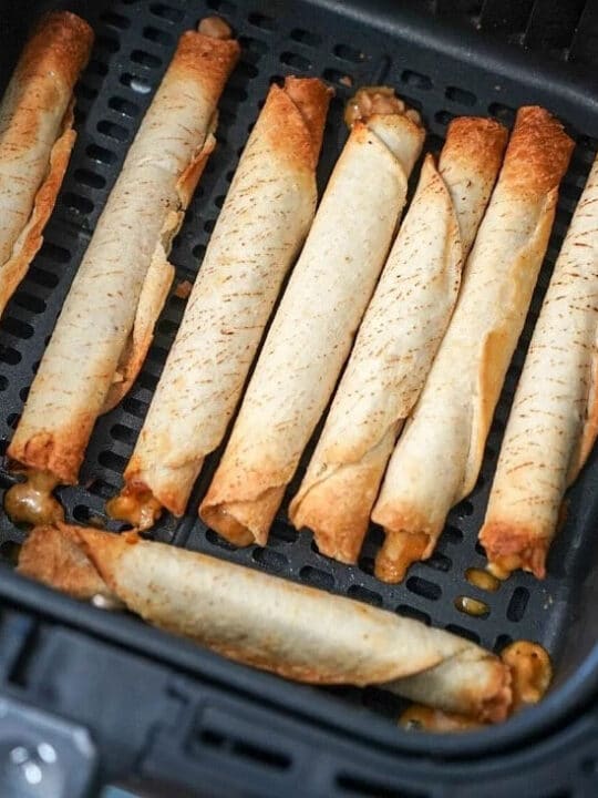 The BEST Ninja Foodi Recipes for Your Air Fryer and Pressure Cooker