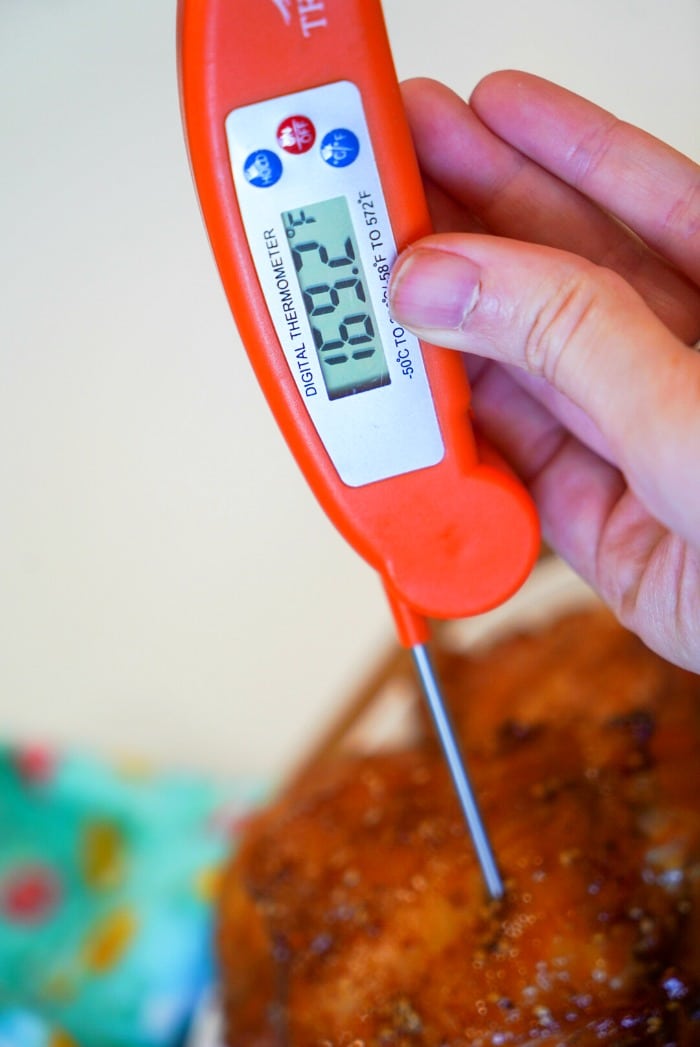 how to use the meat thermometer in a ninja air fryer｜TikTok Search