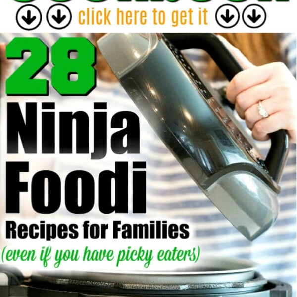 ninja foodi cookbook