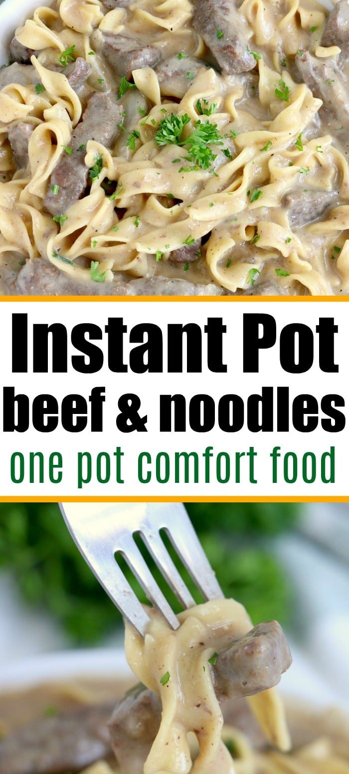 Beef and Noodles Instant Pot Ninja Foodi Beef and Noodles
