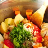 instant pot pork stew