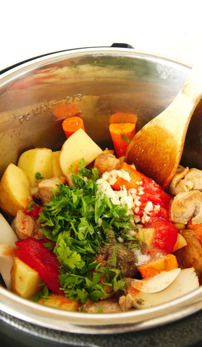 Pork stew best sale instant pot