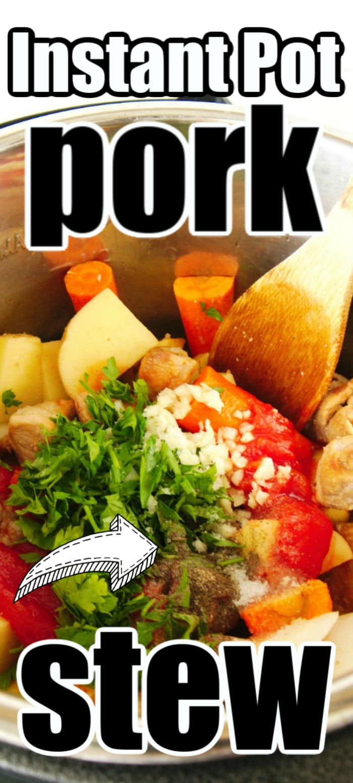 Instant Pot Pork Stew Pressure Cooker Ninja Foodi Pork Stew