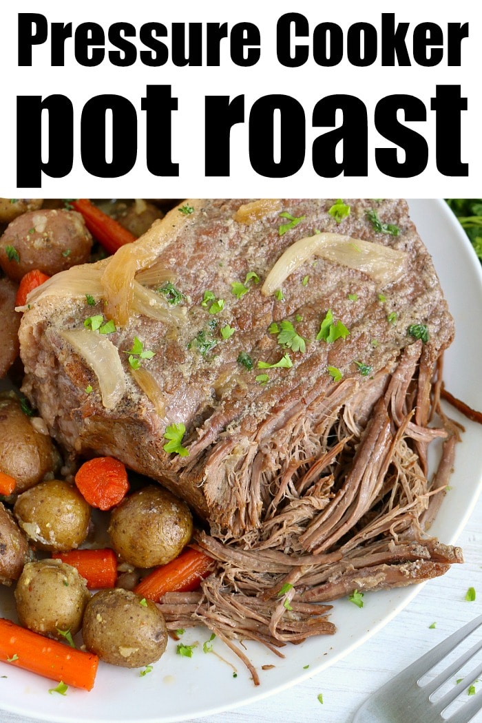 Ninja Foodi Pot Roast [+Video] - Dr. Davinah's Eats