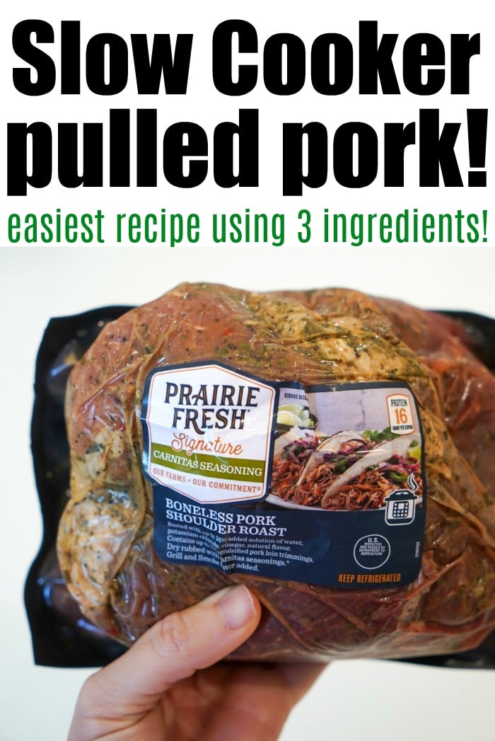 https://temeculablogs.com/wp-content/uploads/2020/08/Easy-Pulled-Pork-Slow-Cooker.jpg