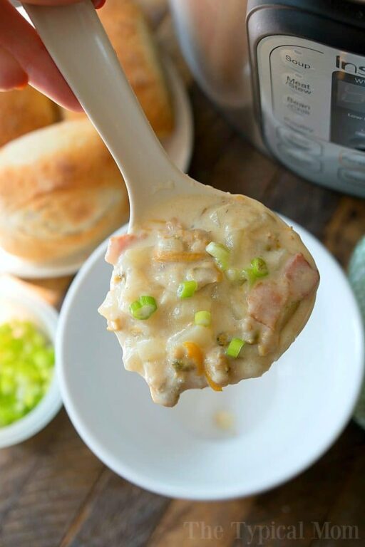 Easy Instant Pot Clam Chowder Ninja Foodi Clam Chowder 6256