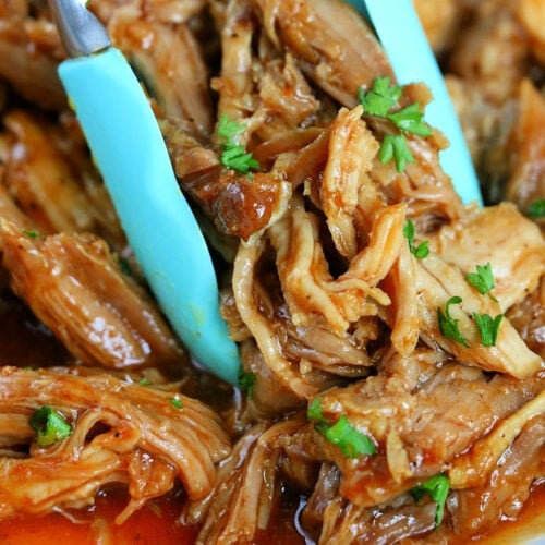 Ninja Foodi Pulled Pork Recipe · The Typical Mom