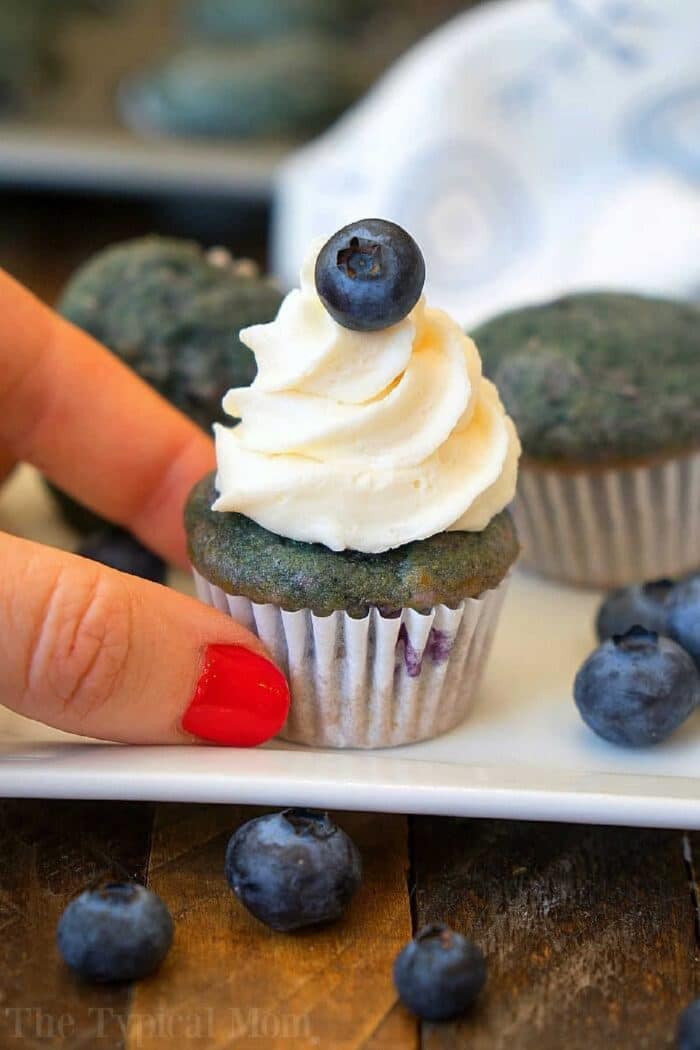 small blueberry desserts