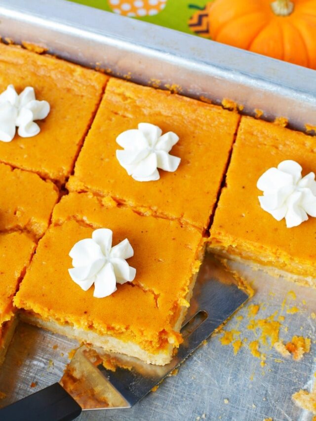 Pumpkin Pie with Cream Cheese · The Typical Mom