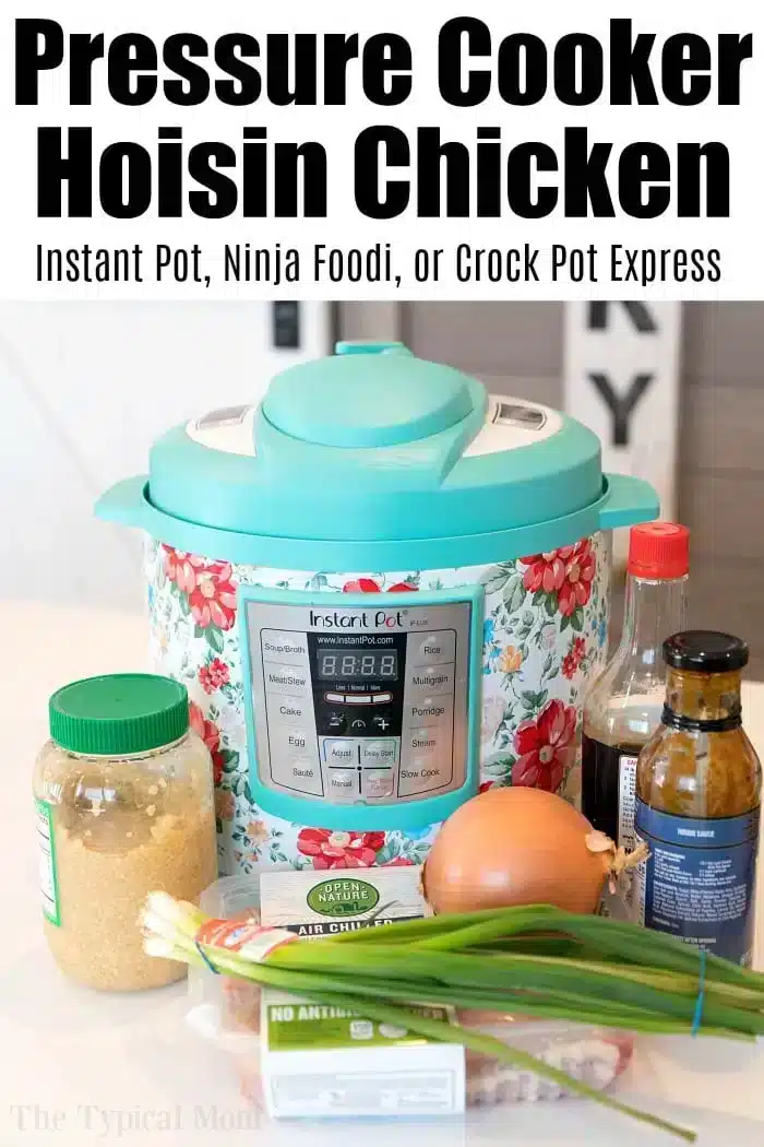 A floral-patterned pressure cooker is encircled by ingredients for a delectable meal, including minced garlic, hoisin sauce, soy sauce, green onions, and bell pepper. The text above proclaims the dish as "Pressure Cooker Hoisin Chicken.