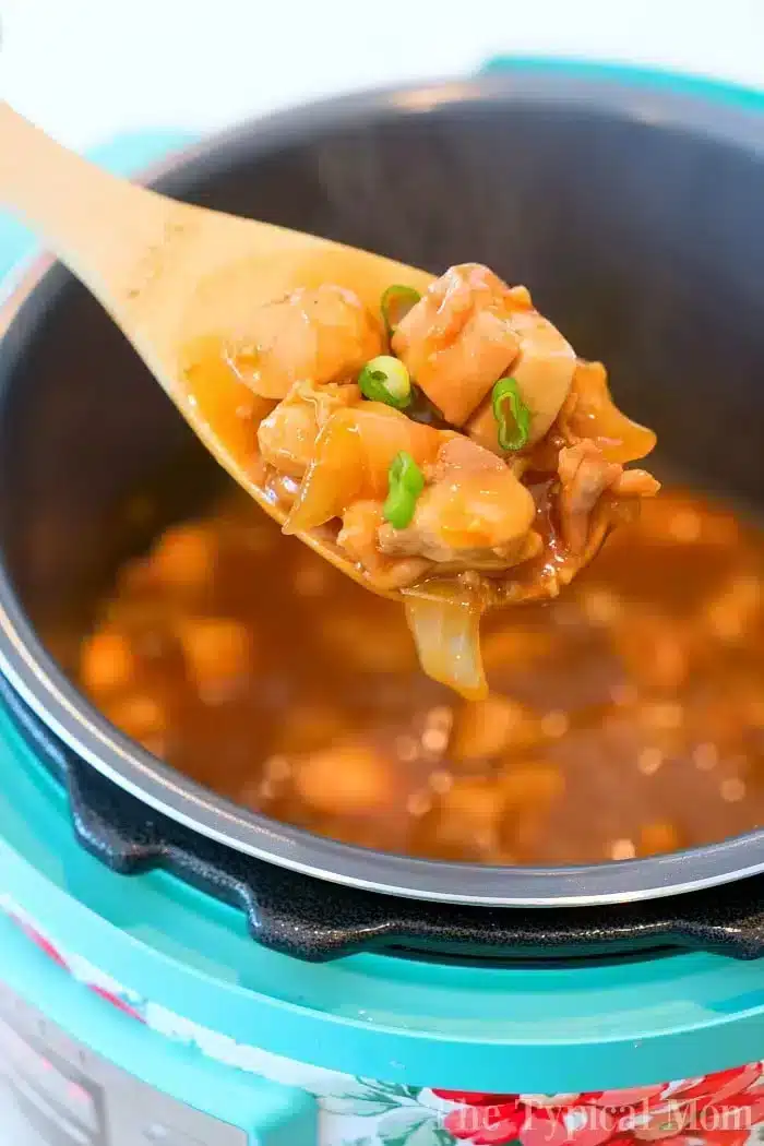 A wooden spoon holds a serving of hoisin chicken with vegetables and sauce above a teal, floral-patterned pressure cooker. The dish is a savory stew, garnished with vibrant green onions.