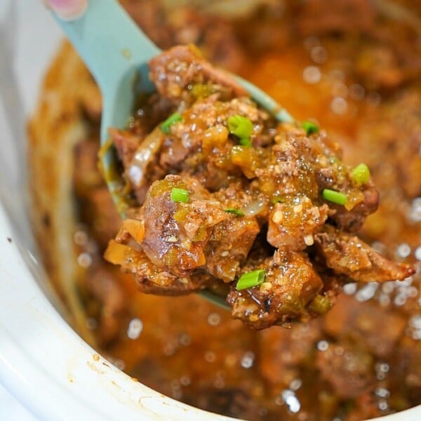 A hand holding a blue ladle scoops a hearty pork carnitas stew garnished with green onions from a white slow cooker.