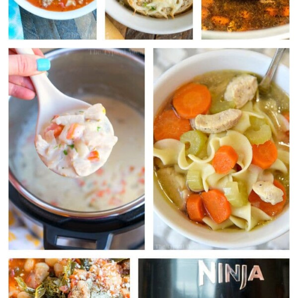 ninja foodi soups