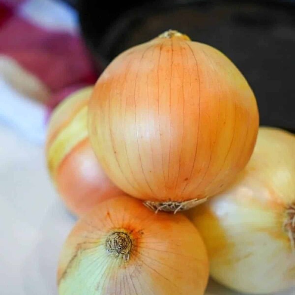 Types of Onions for Cooking