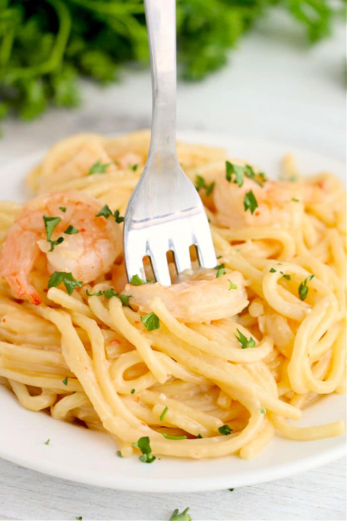 Best Instant Pot Shrimp Recipes · The Typical Mom