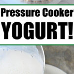 pressure cooker yogurt