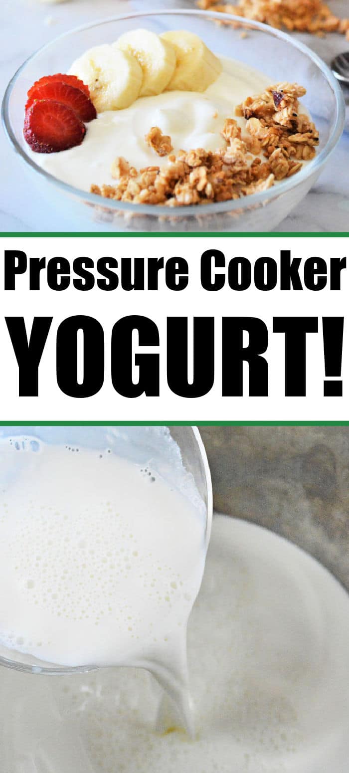 Easy Pressure Cooker Yogurt How to Make Ninja Foodi Yogurt