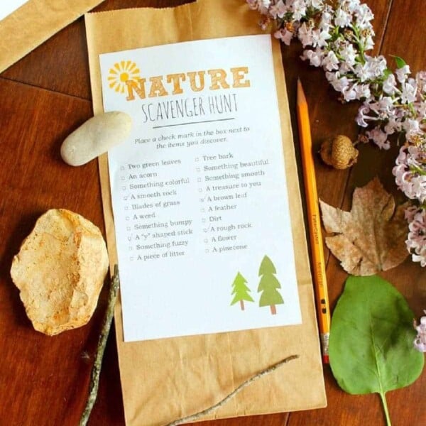 A Nature Scavenger Hunt list decorates a paper bag, accompanied by flowers, leaves, a pencil, and a rock on a rustic wooden table.