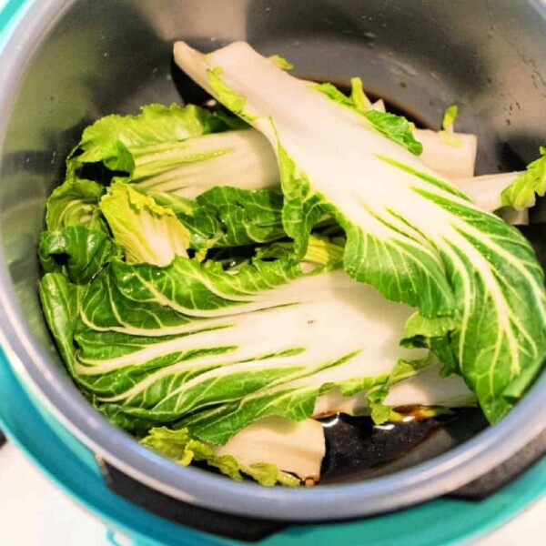 Fresh bok choy leaves and stalks are placed in a turquoise cooking pot, ready for anyone learning how to make bok choy dishes. The leaves boast a bright green color and white stalks, ideal for steaming or cooking.