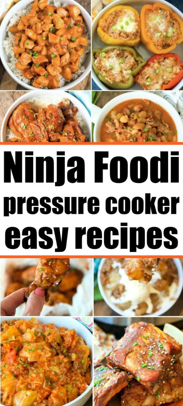 72+ Easy Ninja Foodi Recipes + Instructions on How to Use the Foodi