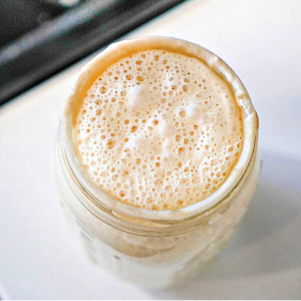 sourdough starter no yeast